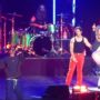 jonas brothers
